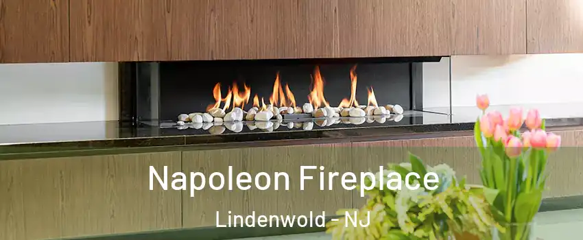  Napoleon Fireplace Lindenwold - NJ